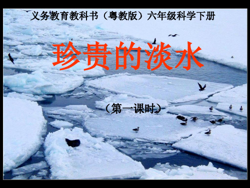 六年级下册科学_26保护水资源珍贵的淡水粤教版9张标准课件