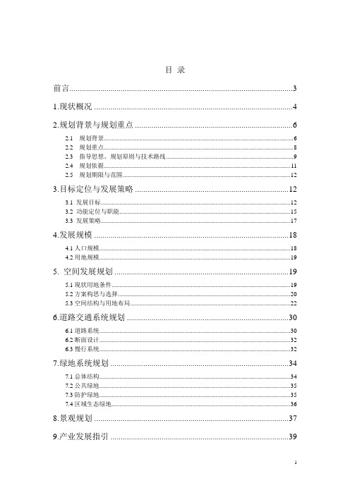 坡头片区总体规划说明书