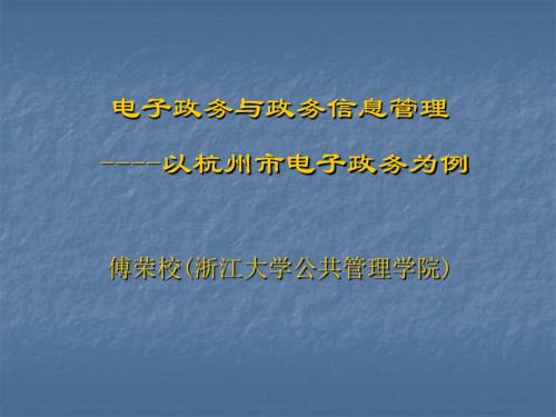 电子政务与政务信息管理教材