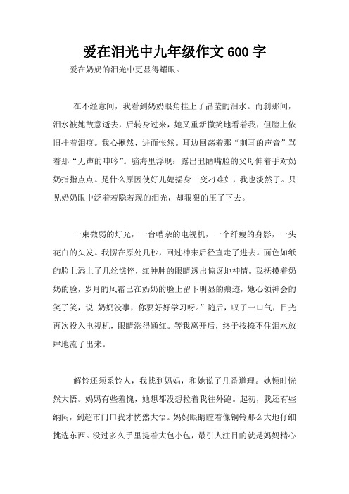 爱在泪光中九年级作文600字