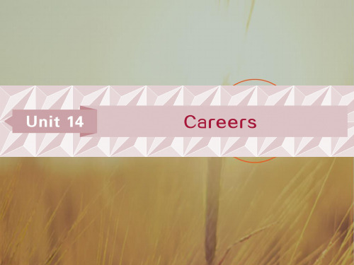 2019届高考英语北师大版总复习课件：必修5 Unit 14 Careers 精品
