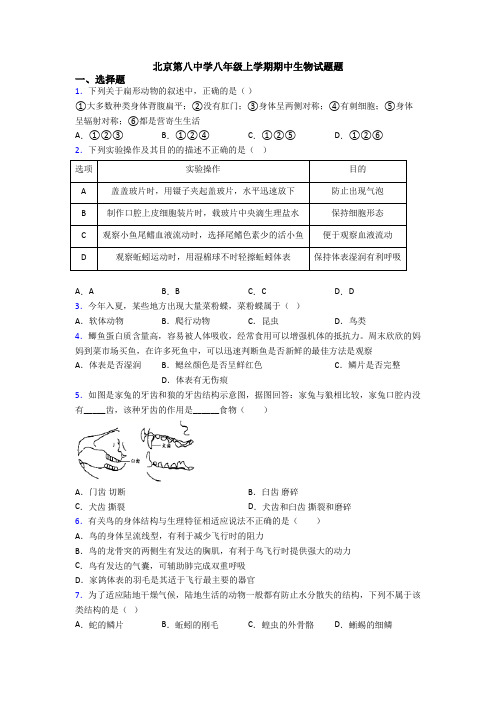 北京第八中学八年级上学期期中生物试题题