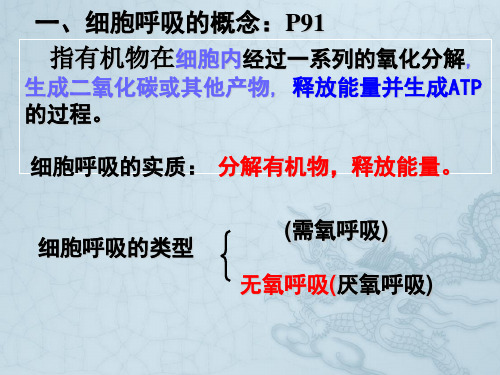 一轮复习 ATP的主要来源——细胞呼吸