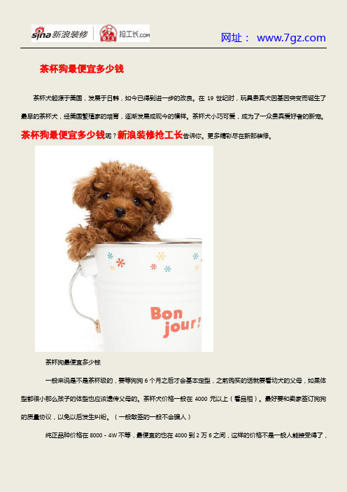 茶杯狗最便宜多少钱