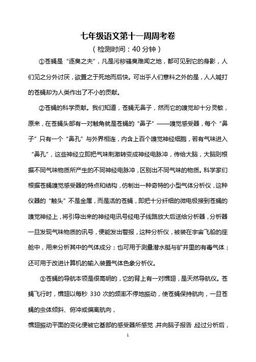 七年级语文第十一周周考卷