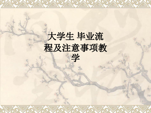 大学生 毕业流程及注意事项ppt课件