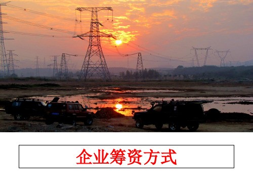 【精品】企业筹资方式课件