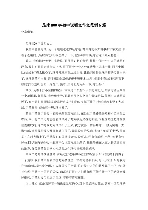 足球800字初中说明文作文范例5篇