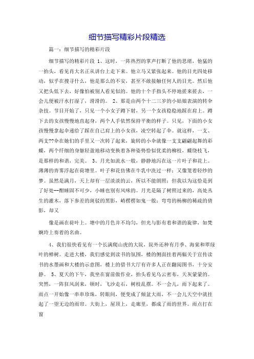 细节描写精彩片段精选
