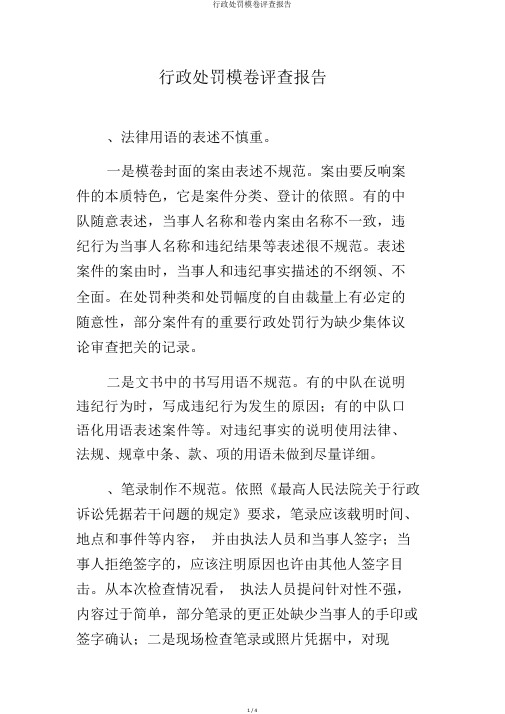 行政处罚案卷评查报告