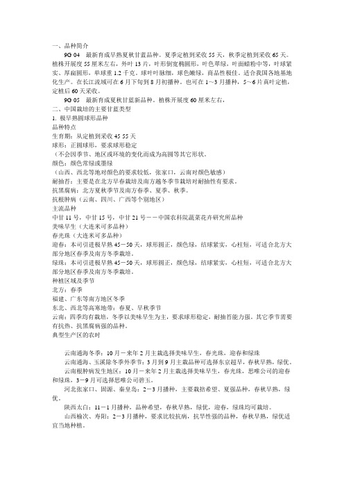 甘蓝