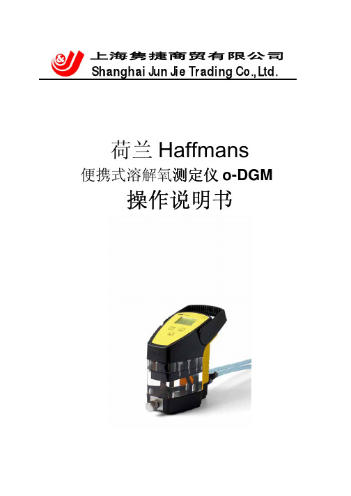 oDGM_中文说明书