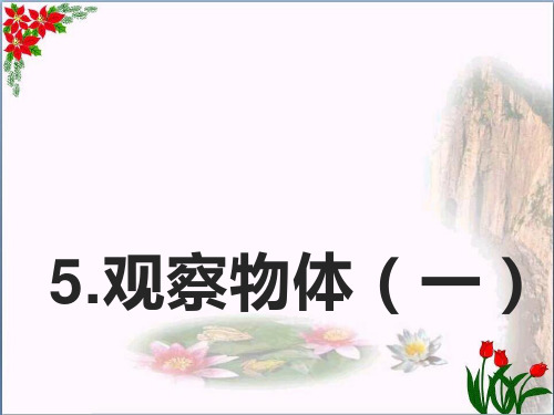 数学5.观察物体(一)｜人教版(共37张PPT)优秀课件