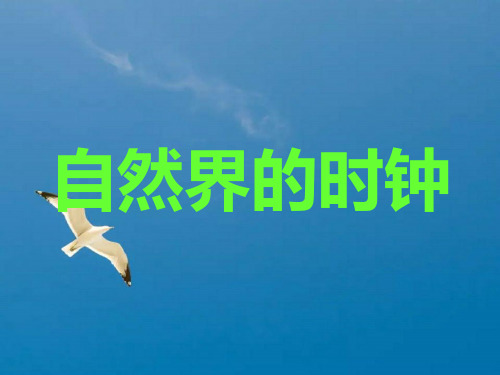 (长春版)三年级语文下册第十单元《自然界的时钟》(共18张)ppt课件