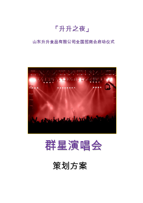 群星演唱会策划书