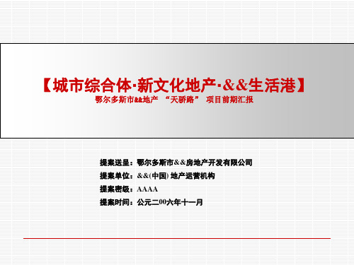 鄂尔多斯市鄂恒利项目前期策划报告