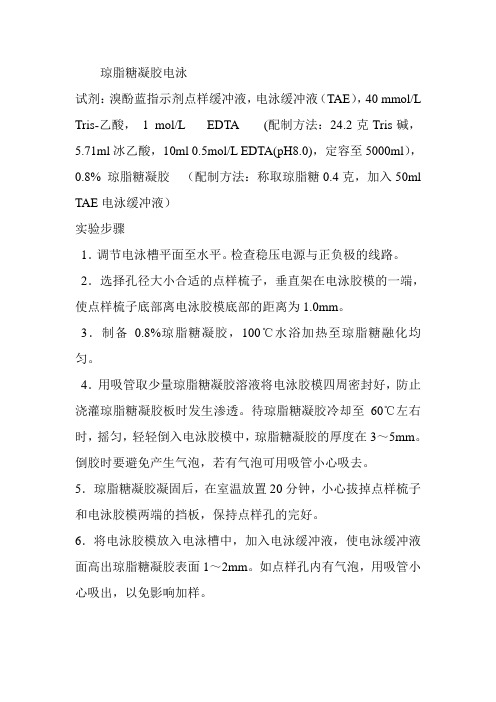 琼脂糖凝胶电泳