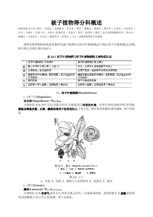 被子植物的分科概述