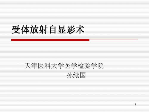 受体放射自显影术2