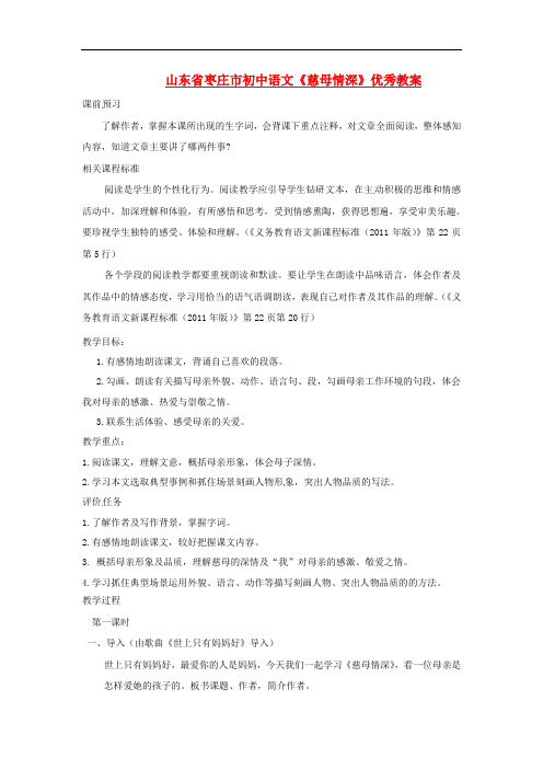 山东省枣庄市初中语文《慈母情深》优秀教案