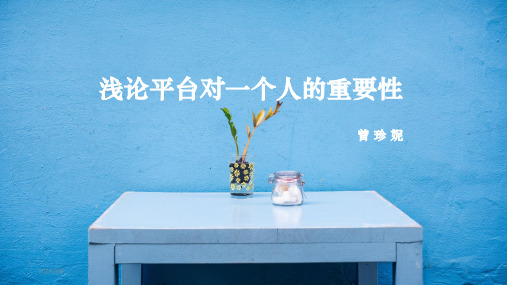 浅论平台对一个人的重要性PPT幻灯片