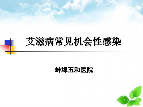 艾滋病常见机会性感染PPT课件