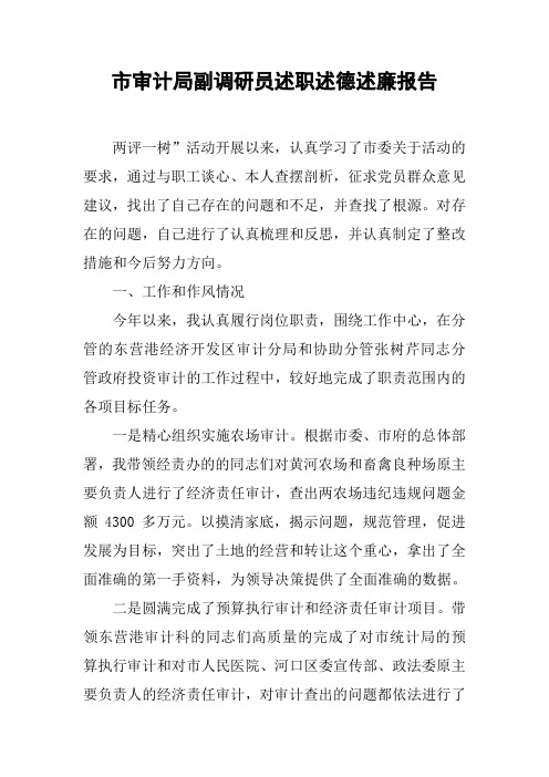 市审计局副调研员述职述德述廉报告