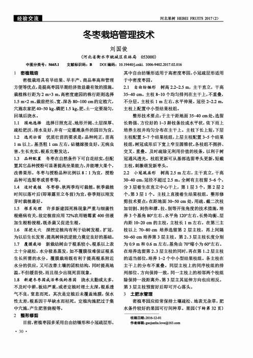 冬枣栽培管理技术