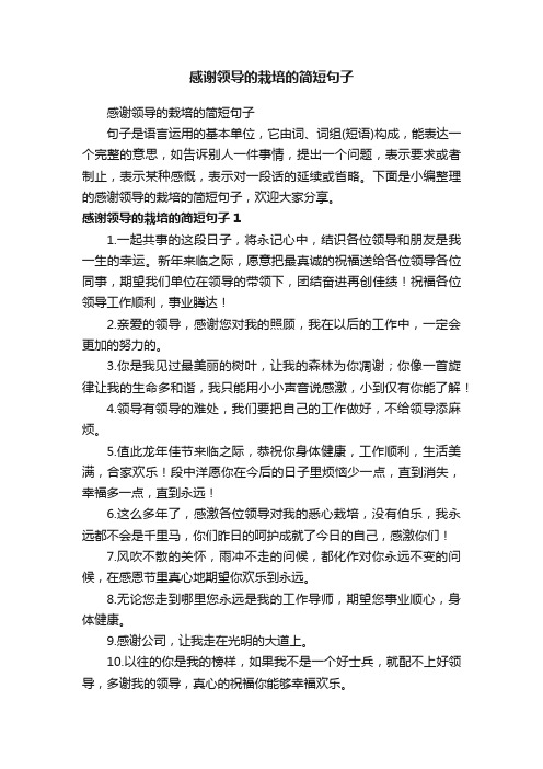 感谢领导的栽培的简短句子