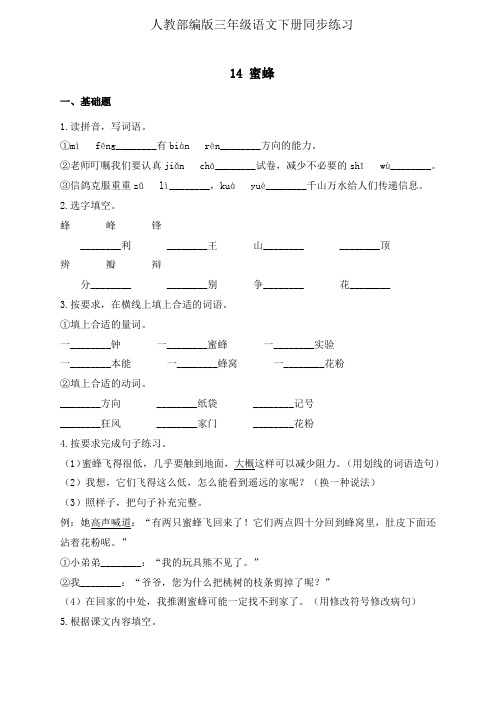 人教部编版三年级下册语文一课一练14.《蜜蜂》(有答案)