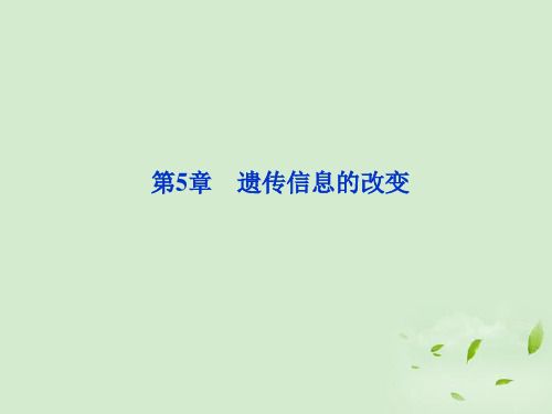 高考生物 第5章第1节遗传信息的改变精品课件 北师大版必修2