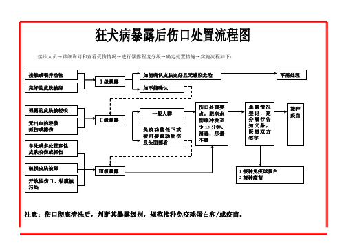 狂犬病暴露后处置流程图