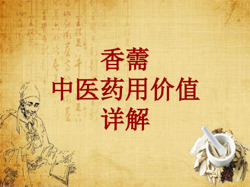 中药学_香薷_药材详解课件模板
