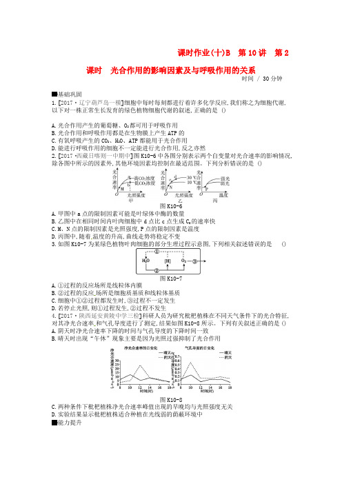 2019届高考生物总复习课时作业10_B光合作用的影响因素及与呼吸作用的关系