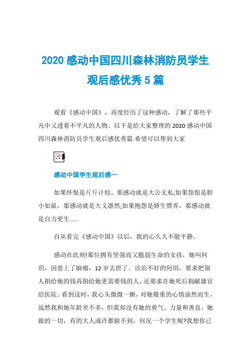 2020感动中国四川森林消防员学生观后感优秀5篇