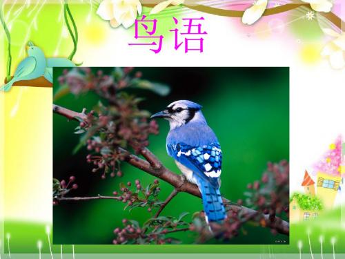 鸟语-课件