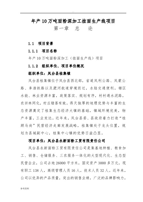 年产10万吨面粉深加工挂面生产线项目可行性实施报告