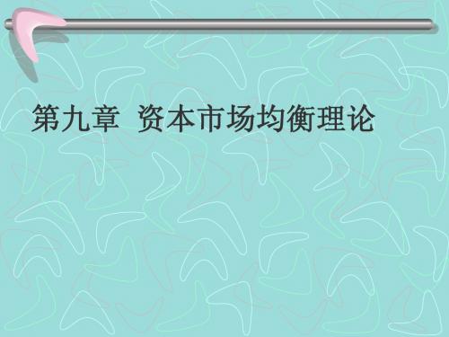补充——10章资本市场均衡理论