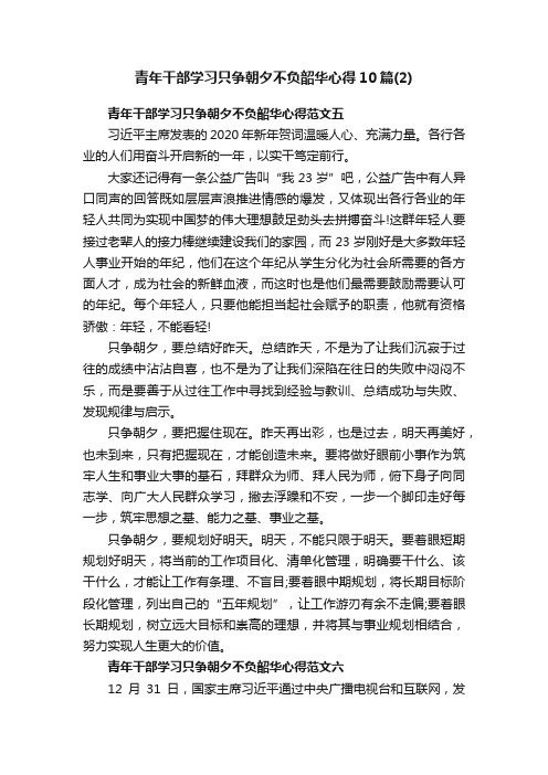 青年干部学习只争朝夕不负韶华心得10篇（2）