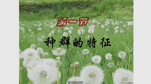 人口自然增长率出生率PPT课件