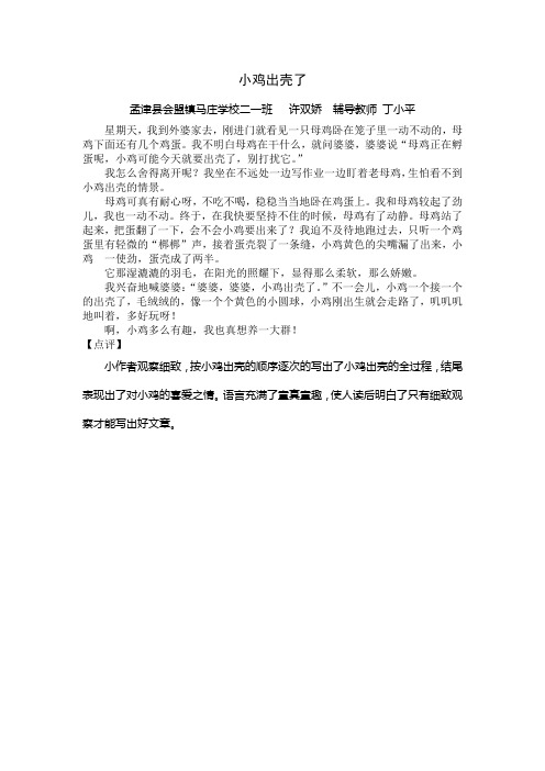 小鸡出壳了