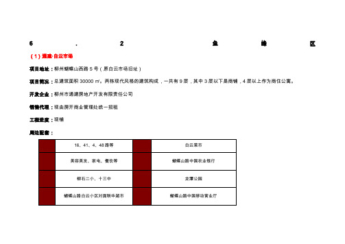 x年月柳州市场调查报告(二)