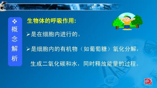 能量的释放和利用(2)七年级苏科版