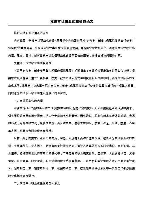推进审计职业化建设的论文