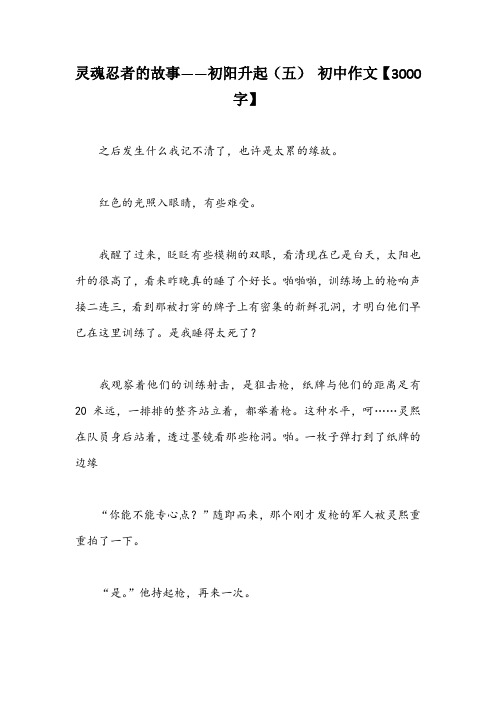 灵魂忍者的故事——初阳升起(五) 初中作文【3000字】