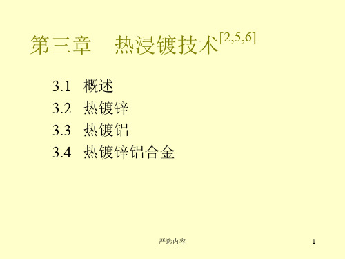 热浸镀技术[高级课件]