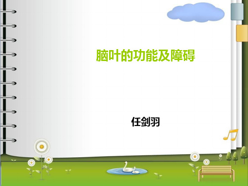 脑叶的功能及障碍