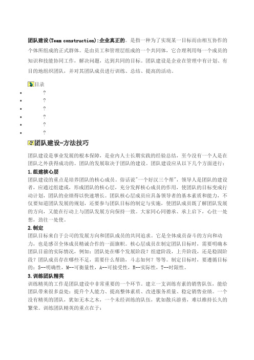 定义与解释团队建设