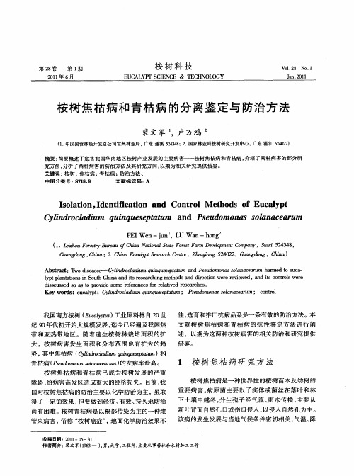 桉树焦枯病和青枯病的分离鉴定与防治方法
