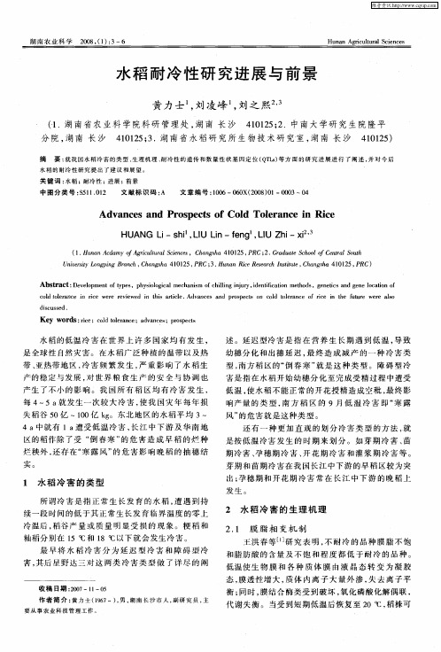 水稻耐冷性研究进展与前景